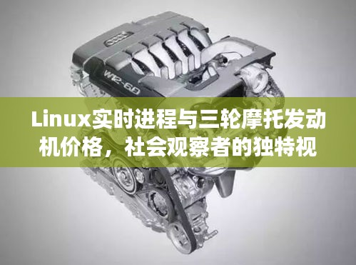 Linux实时进程与三轮摩托发动机价格，社会观察者的独特视角