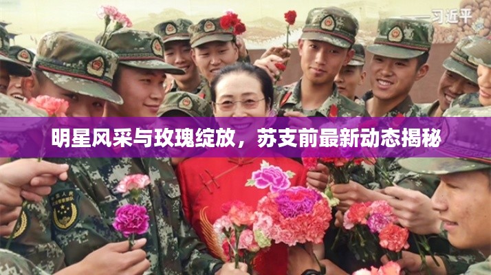 明星风采与玫瑰绽放，苏支前最新动态揭秘