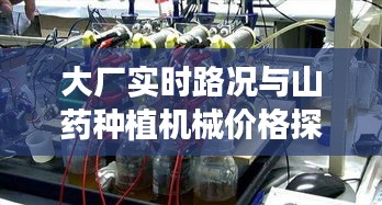 大厂实时路况与山药种植机械价格探讨