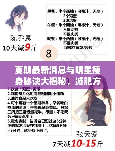 夏朗最新消息与明星瘦身秘诀大揭秘，减肥方法与秘诀全解析