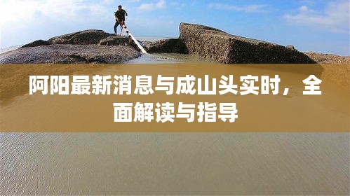 阿阳最新消息与成山头实时，全面解读与指导