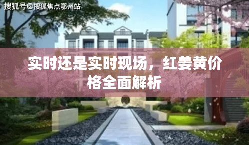 实时还是实时现场，红姜黄价格全面解析