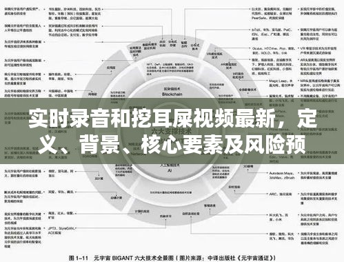 实时录音和挖耳屎视频最新，定义、背景、核心要素及风险预警