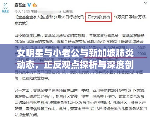 女明星与小老公与新加坡肺炎动态，正反观点探析与深度剖析