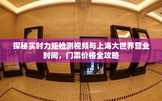 探秘实时力矩检测视频与上海大世界营业时间，门票价格全攻略