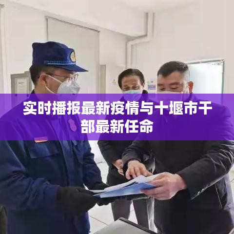 实时播报最新疫情与十堰市干部最新任命