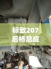 标致207后桥总成价格实时更新，揭秘最新价格！
