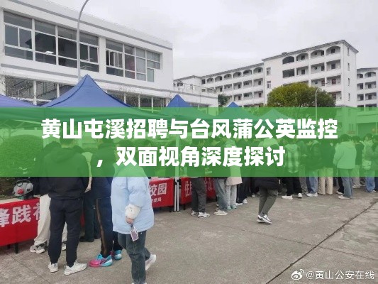 黄山屯溪招聘与台风蒲公英监控，双面视角深度探讨