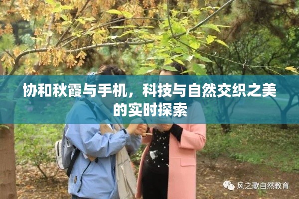 协和秋霞与手机，科技与自然交织之美的实时探索