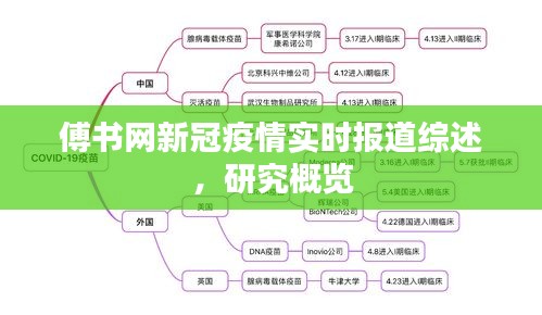 傅书网新冠疫情实时报道综述，研究概览