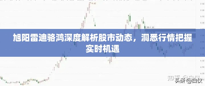 旭阳雷迪骆鸿深度解析股市动态，洞悉行情把握实时机遇