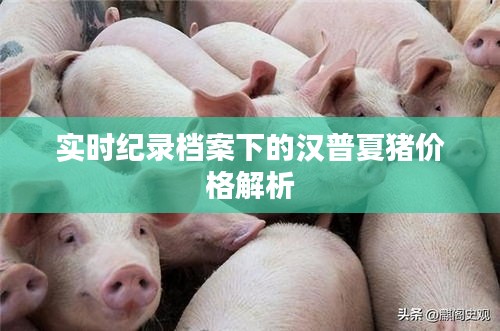 实时纪录档案下的汉普夏猪价格解析