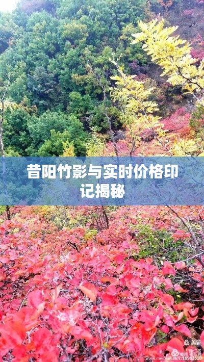 昔阳竹影与实时价格印记揭秘