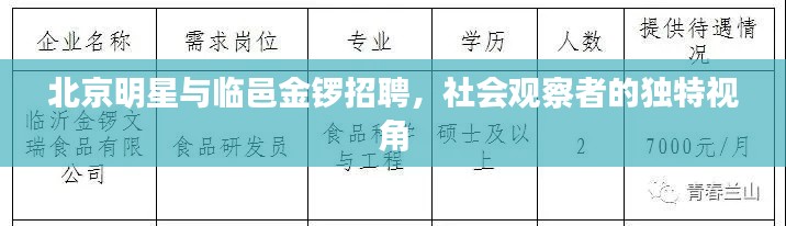 北京明星与临邑金锣招聘，社会观察者的独特视角