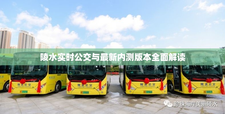 陵水实时公交与最新内测版本全面解读