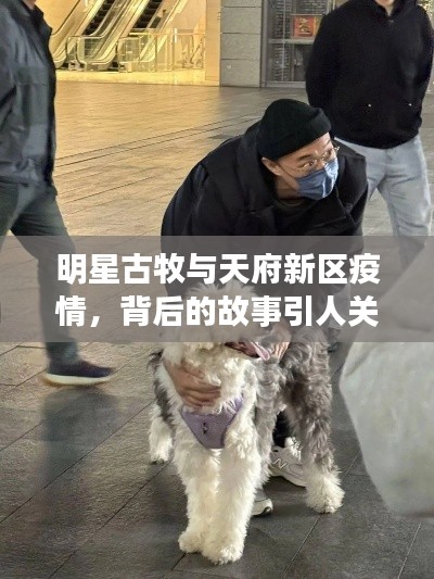 明星古牧与天府新区疫情，背后的故事引人关注