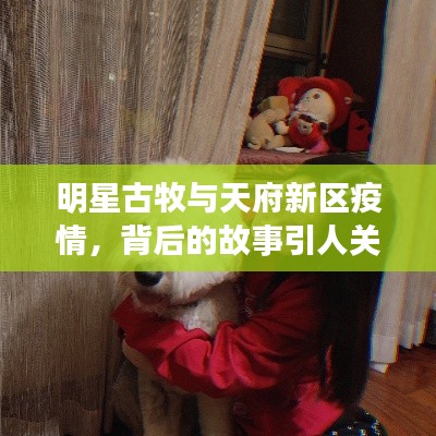 明星古牧与天府新区疫情,背后的故事引人关注