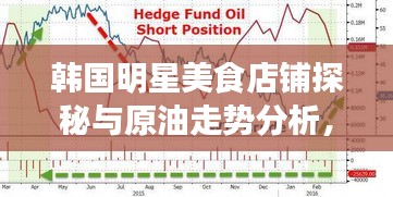 韩国明星美食店铺探秘与原油走势分析，一手资讯大揭秘！