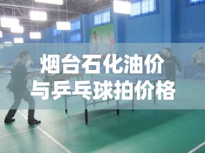 烟台石化油价与乒乓球拍价格探究