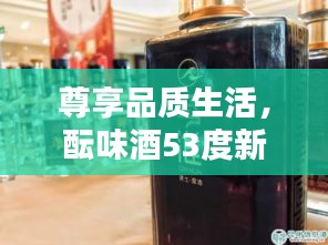 尊享品质生活，酝味酒53度新体验——科技美学下的品质享受