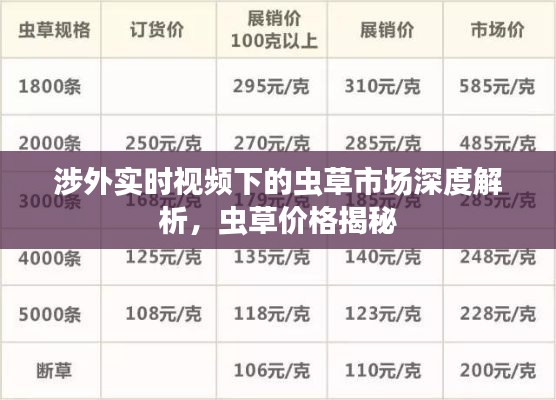涉外实时视频下的虫草市场深度解析，虫草价格揭秘
