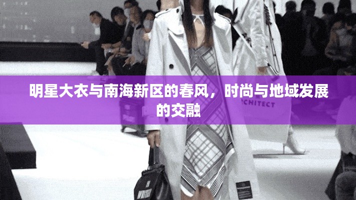 明星大衣与南海新区的春风，时尚与地域发展的交融