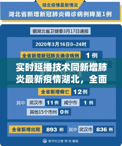 实时延播技术同新增肺炎最新疫情湖北，全面解析与应对