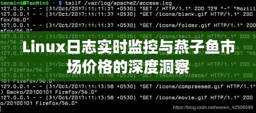 Linux日志实时监控与燕子鱼市场价格的深度洞察