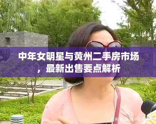 中年女明星与黄州二手房市场，最新出售要点解析