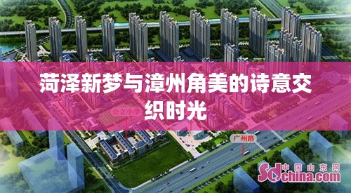 菏泽新梦与漳州角美的诗意交织时光