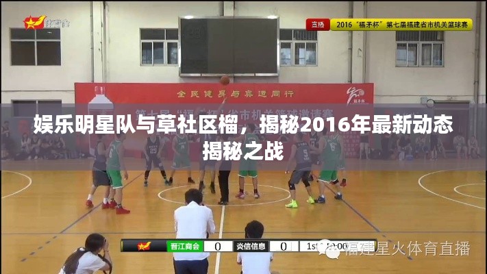 娱乐明星队与草社区榴，揭秘2016年最新动态揭秘之战