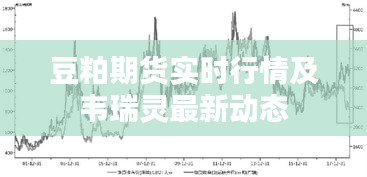 豆粕期货实时行情及韦瑞灵最新动态