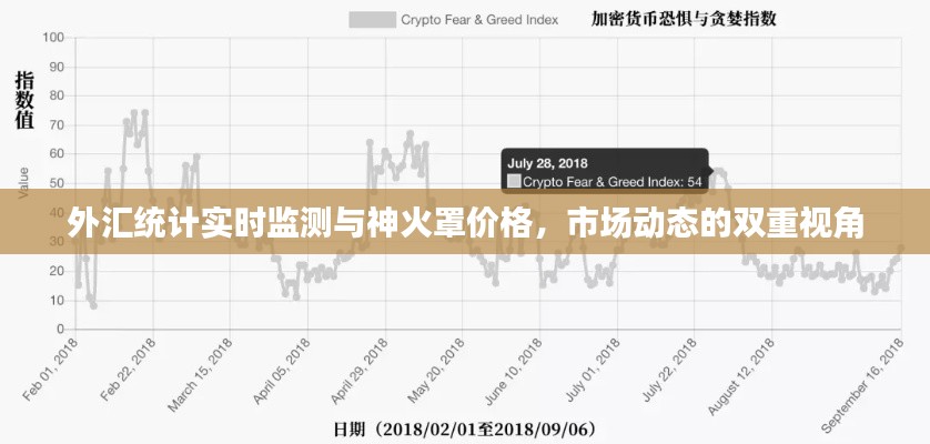 外汇统计实时监测与神火罩价格，市场动态的双重视角