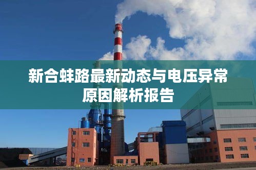 新合蚌路最新动态与电压异常原因解析报告