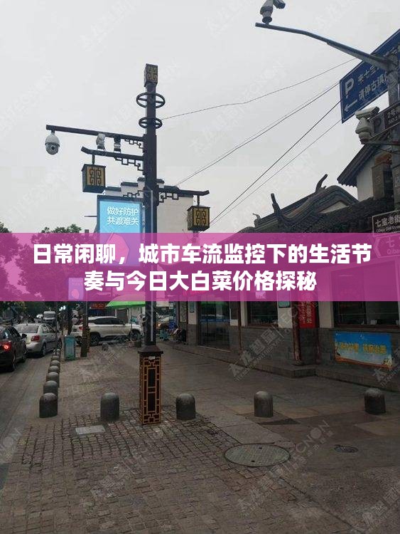 日常闲聊，城市车流监控下的生活节奏与今日大白菜价格探秘