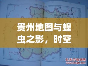 贵州地图与蝗虫之影，时空交错的关注焦点