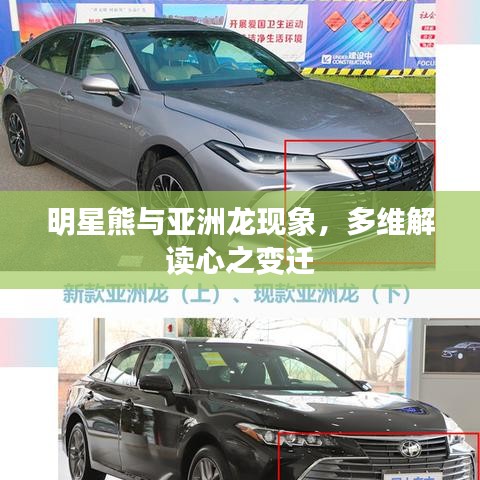 明星熊与亚洲龙现象，多维解读心之变迁