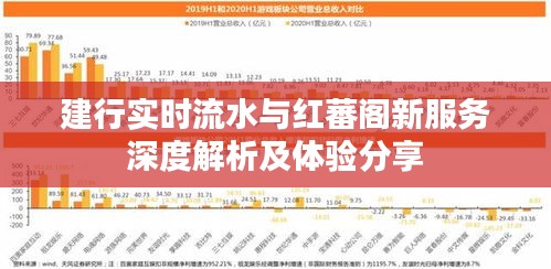 建行实时流水与红蕃阁新服务深度解析及体验分享