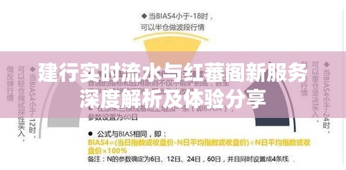 建行实时流水与红蕃阁新服务深度解析及体验分享