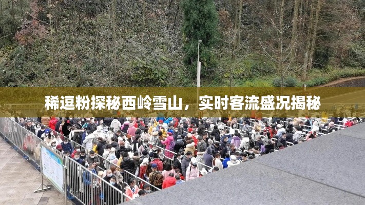 稀逗粉探秘西岭雪山，实时客流盛况揭秘