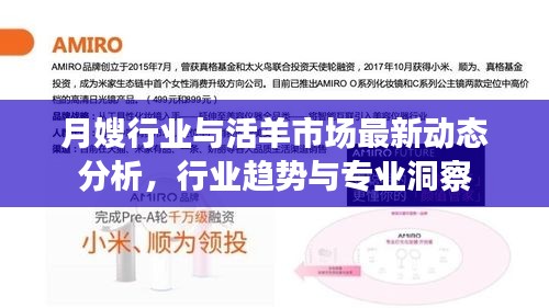 月嫂行业与活羊市场最新动态分析，行业趋势与专业洞察