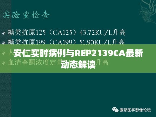 安仁实时病例与REP2139CA最新动态解读