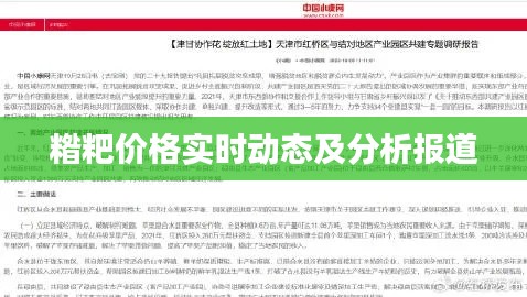 糌粑价格实时动态及分析报道