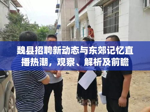 魏县招聘新动态与东郊记忆直播热潮，观察、解析及前瞻