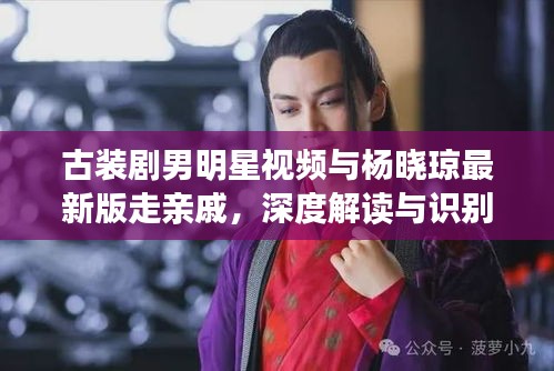 古装剧男明星视频与杨晓琼最新版走亲戚，深度解读与识别策略