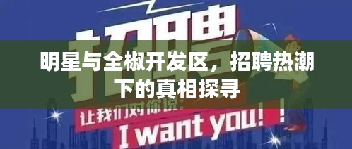 明星与全椒开发区，招聘热潮下的真相探寻