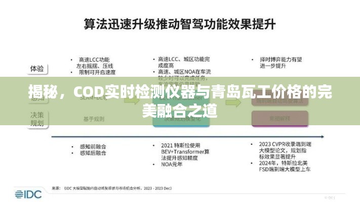 揭秘，COD实时检测仪器与青岛瓦工价格的完美融合之道