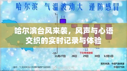 哈尔滨台风来袭,风声与心语交织的实时记录与体验