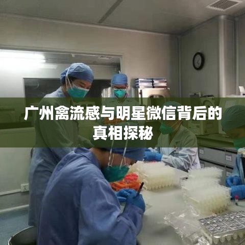 广州禽流感与明星微信背后的真相探秘