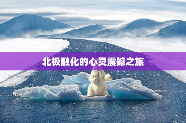 北极融化的心灵震撼之旅